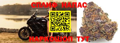 spice Кунгур